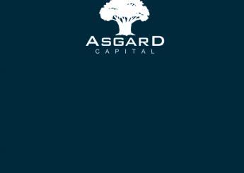 Brandbook компании Asgard Capital